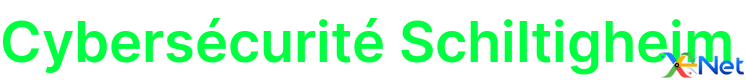 Cybersécurité Schiltigheim